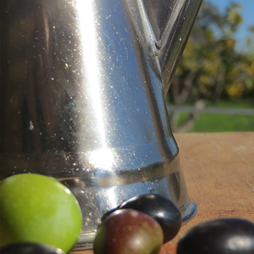 Conservación Aceite de oliva